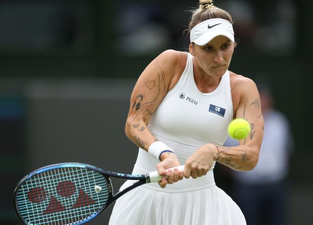 开云下载-温网决赛没三巨头！万卓索娃贾巴尔谁能“事不过三”